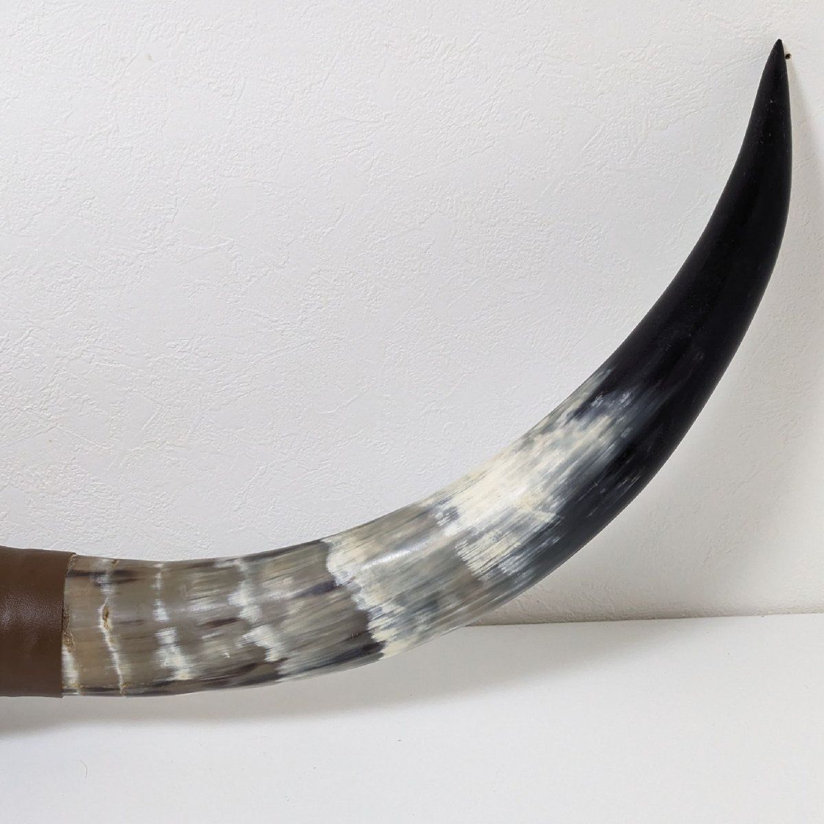 ◇水牛 大型角◇1.3m◇バッファロー◇ツノ◇インテリア◇ディスプレイ