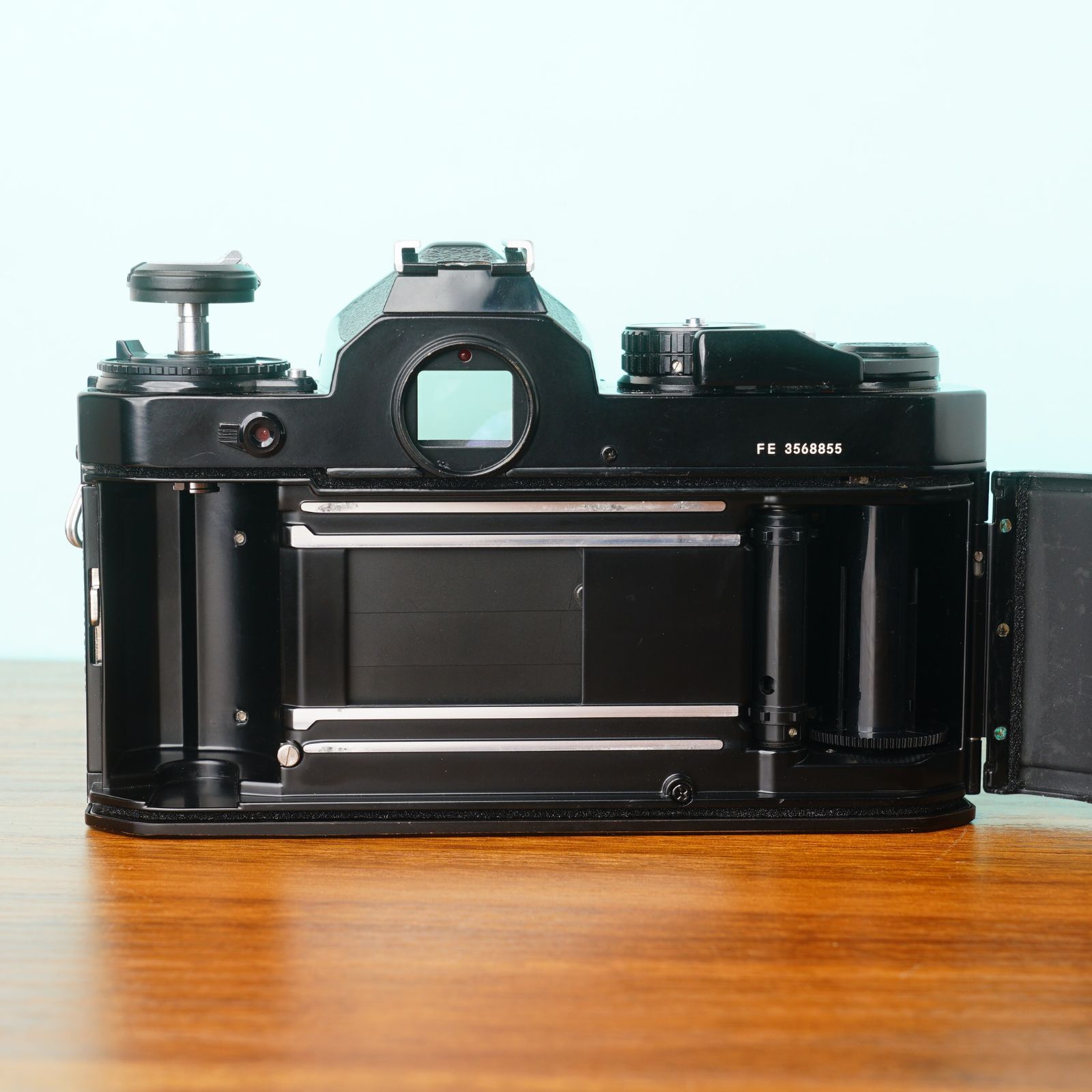 ブラック ボディ