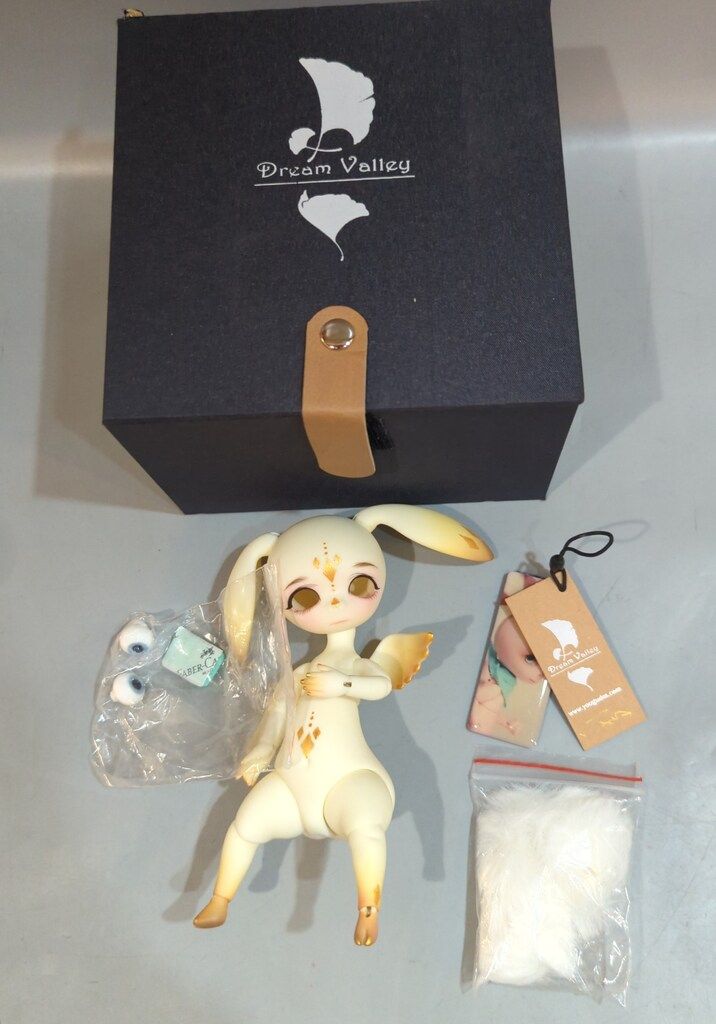 Dream Valley Jack Newlook