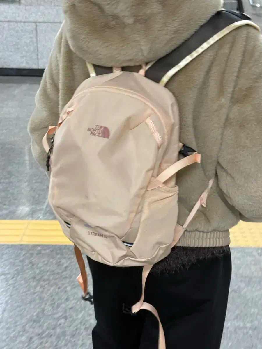 THE NORTH FACE ストリーム12 バックパック ピーチ