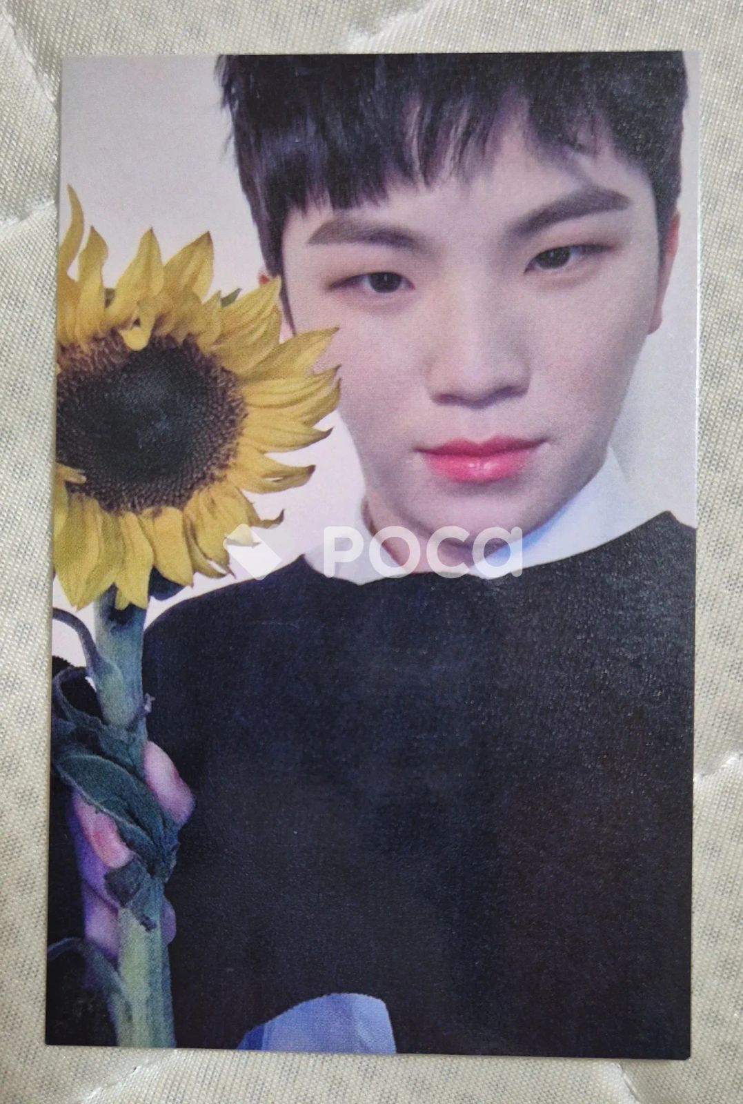 Seventeen ウジ セブチ YOU MADE MY DAWN 公開放送 サノク トレカ