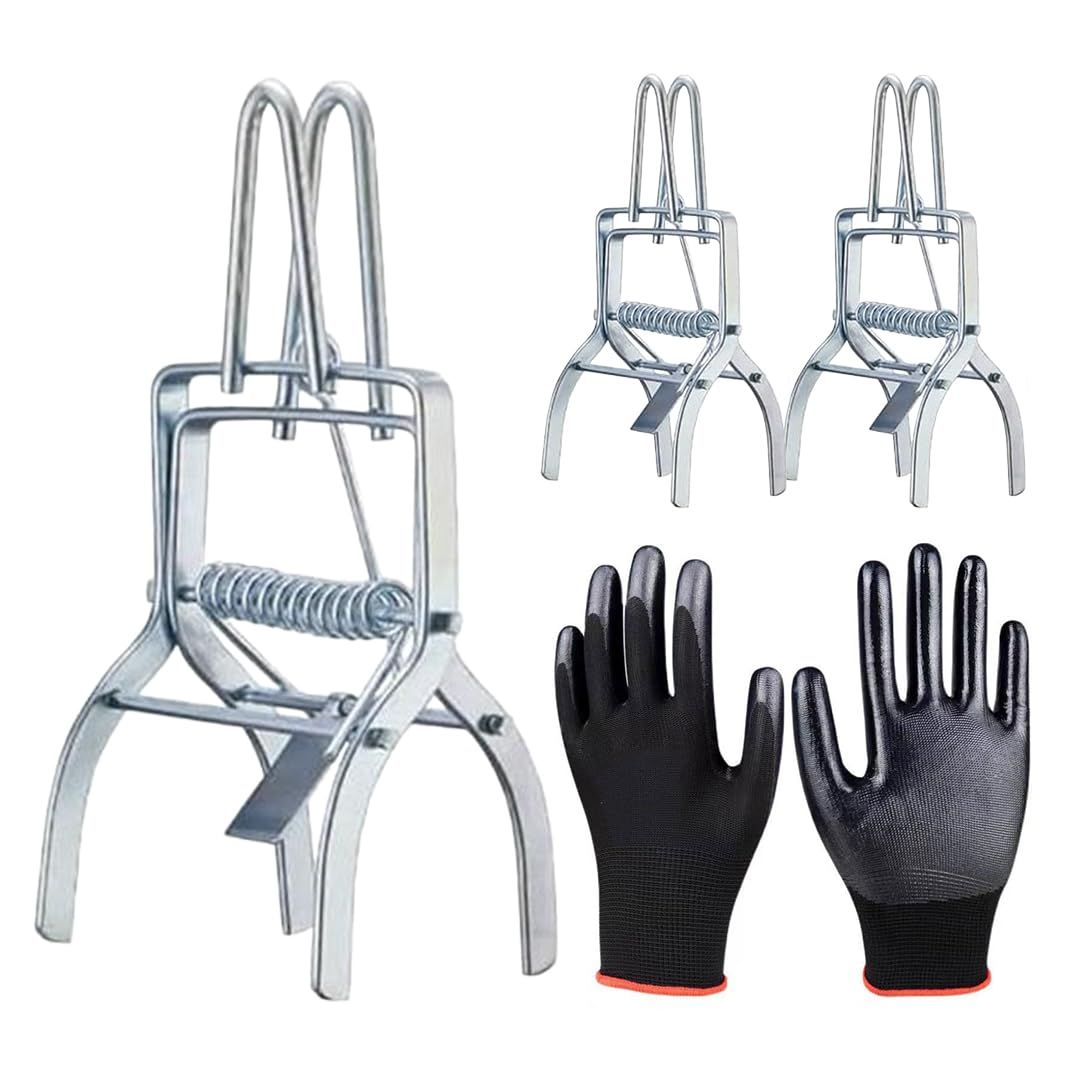 Vampyr (輸入版:北米) ? Switch