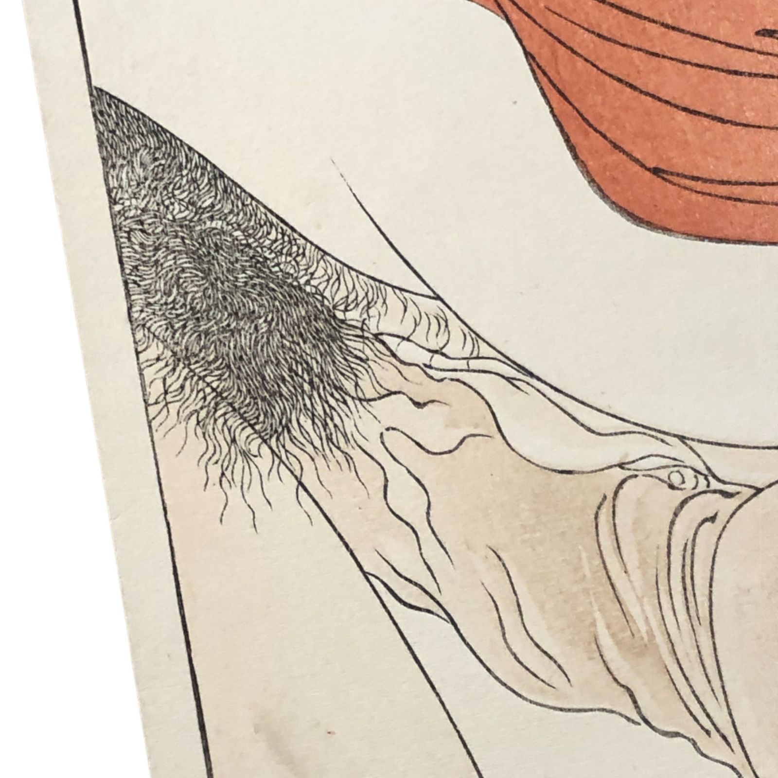 春画 木版画 縦長 63×13cm 3 ☆浮世絵/艶本/枕絵/江戸文化/和本/版画