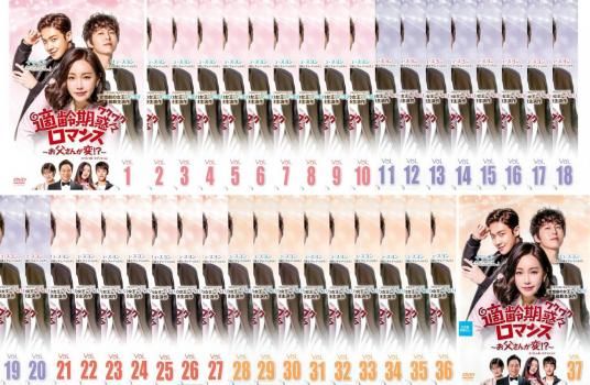 適齢期惑々ロマンス お父さんが変! エディション 37枚セット 第1話~第74話 字幕 全巻セット 洋画 DVD ケース