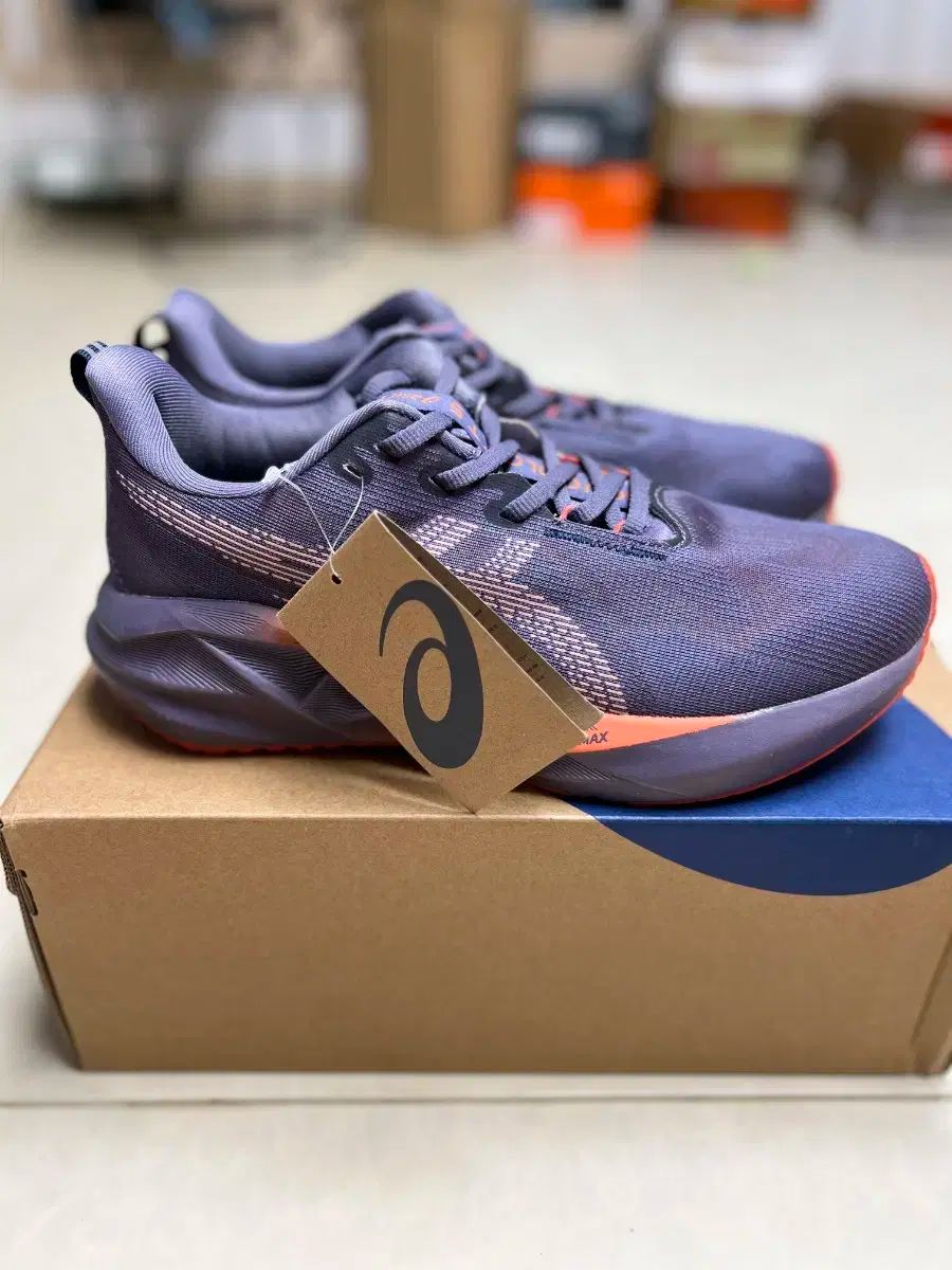 アシックス ノヴァブラスト 5 LE パープル 275mm