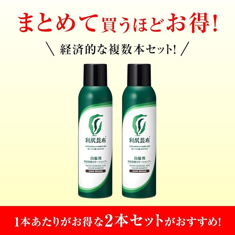 Sastty (サスティ) 【白髪用】利尻 炭酸 カラーシャンプー (ダーク