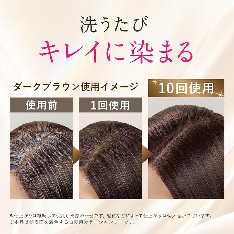 Sastty (サスティ) 【白髪用】利尻 炭酸 カラーシャンプー (ダーク