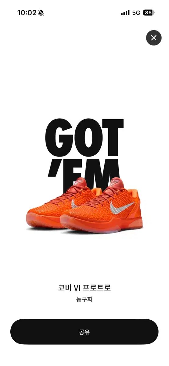 NIKE Kobe6 プロトロ トータルオレンジ Nike Kobe 6 Protro 'Total