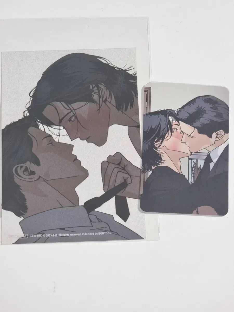 BOMTOON HOME パーティー スキンシップ プリント写真 注意平 チュ ピョン トレカ 特典