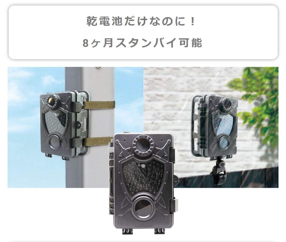 ラディアント2K TL-8000DTK