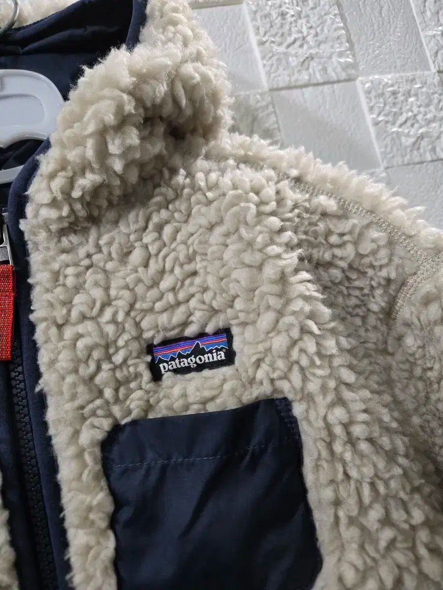 patagonia 5歳 状態良し