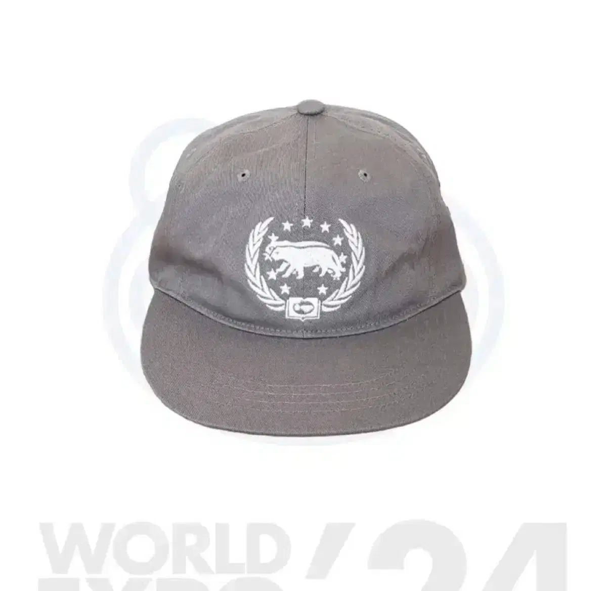 バミンタイガー WORLD EXPO 帽子