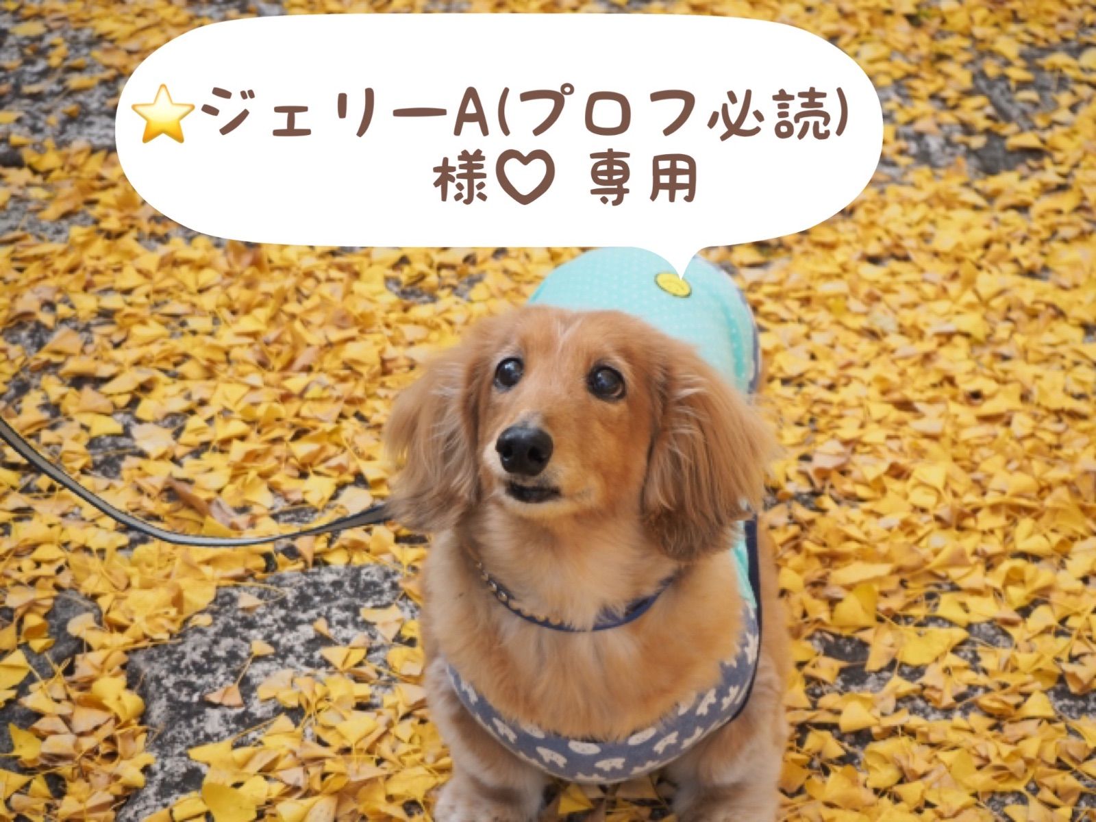 ⭐ジェリーA(プロフ必読)様♡専用 【公式通販】