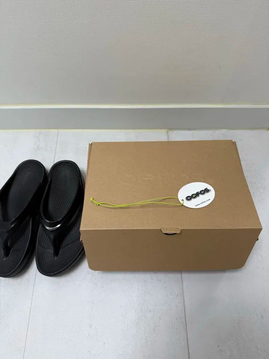 オメガ フラットフォーム