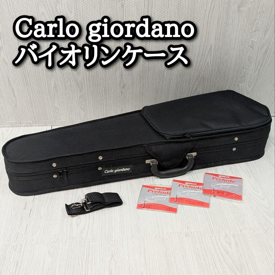 Carlo Giordano EV-202 エレキバイオリン 弦楽器 ケース付属 エレキ