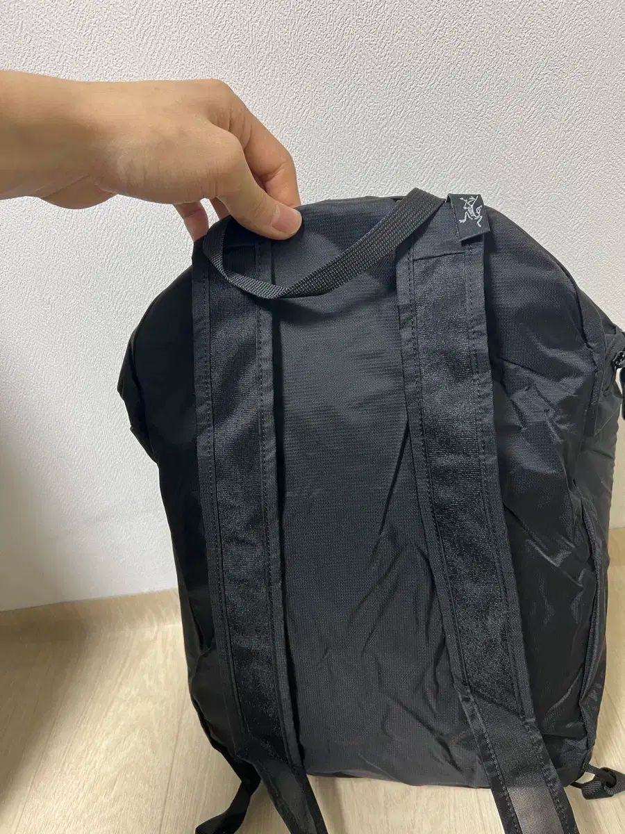 アークテリクス ヒーリィイド 15 バックパック OLIVEOS_COM_TR