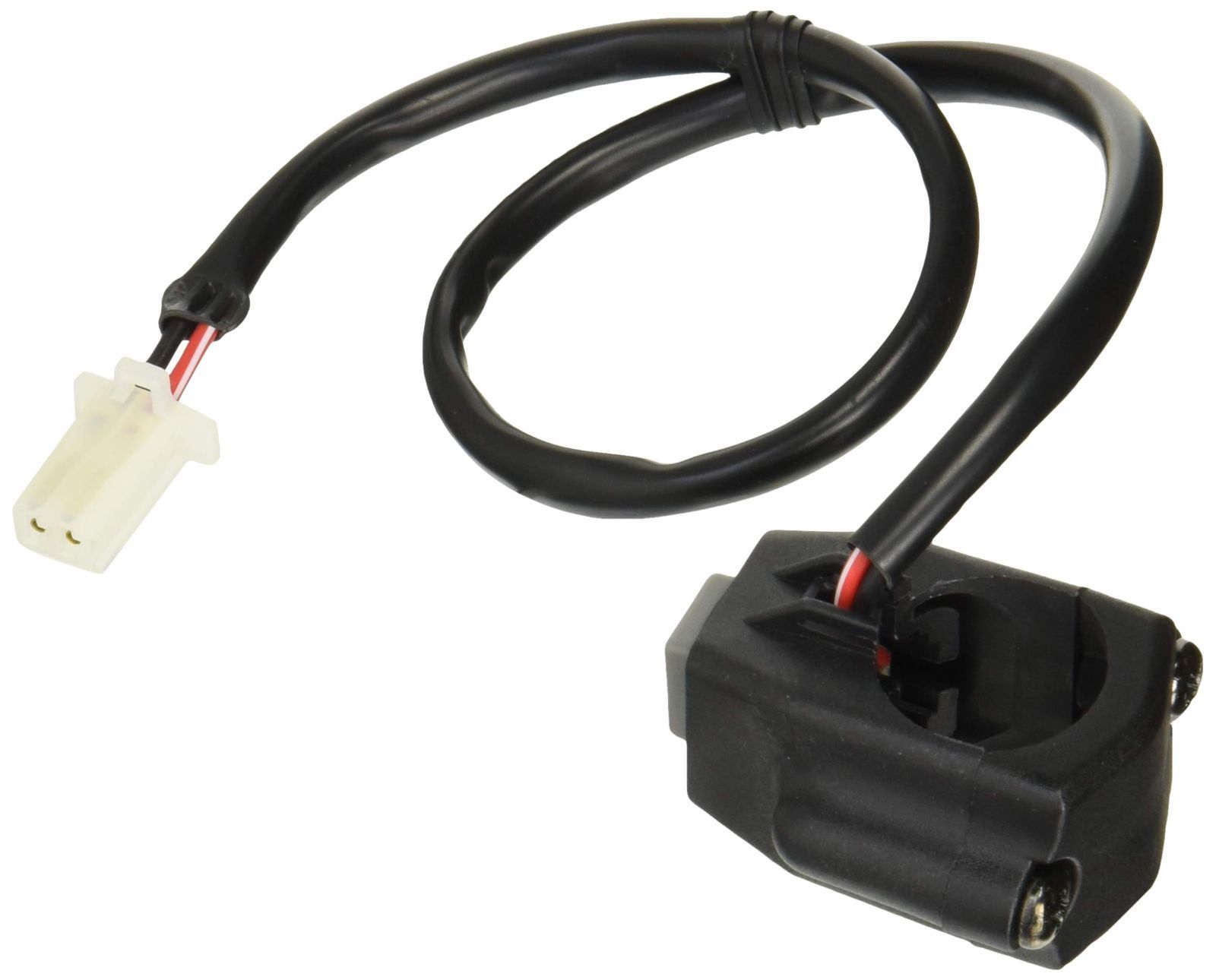 藤原薫 島のオリーブ 額縁込