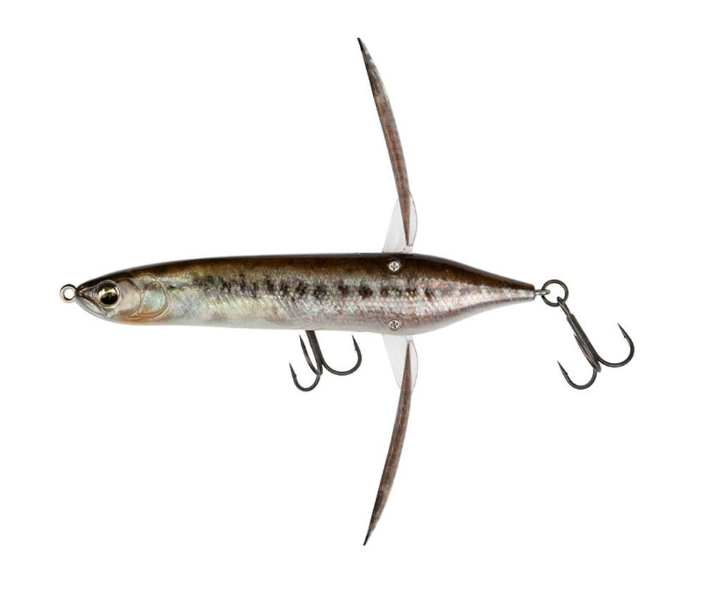 ☆即決☆イマカツ☆アベンタクローラー スーパーボーン☆ホワイト