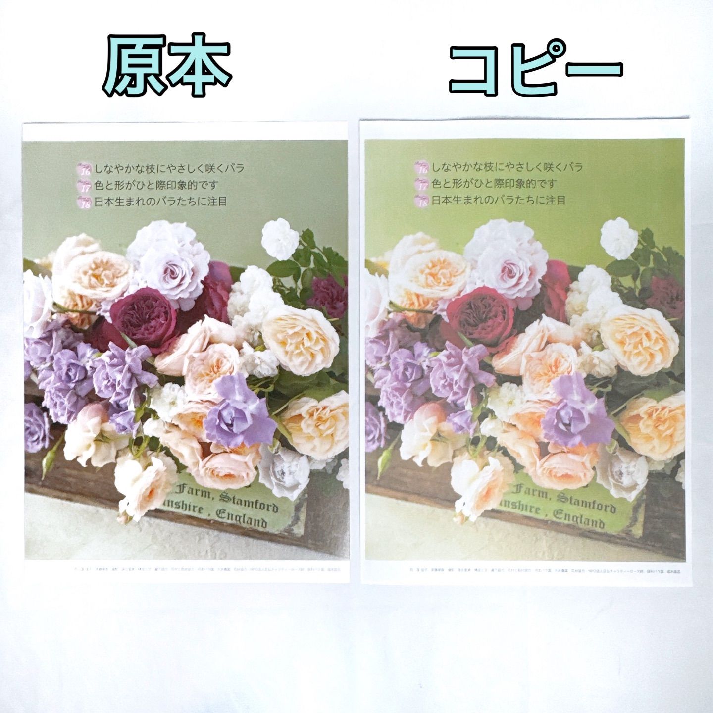 brother ブラザー