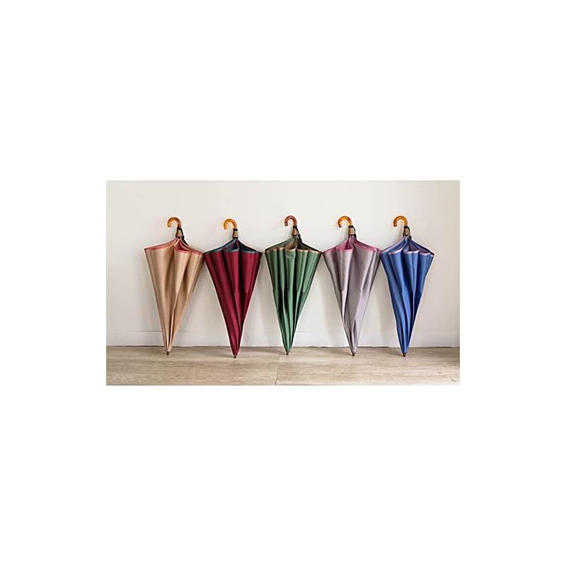 べっ甲風手元 ２段折りたたみ傘