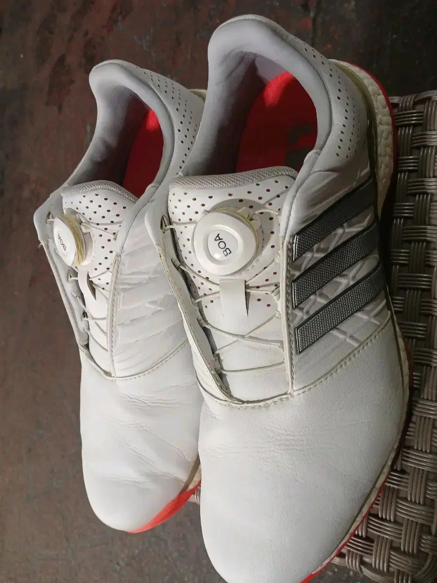 アディダス ゴルフシューズ 9 265