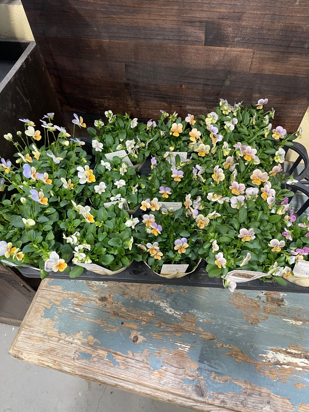 RYU様専用おまとめセット - メルカリ