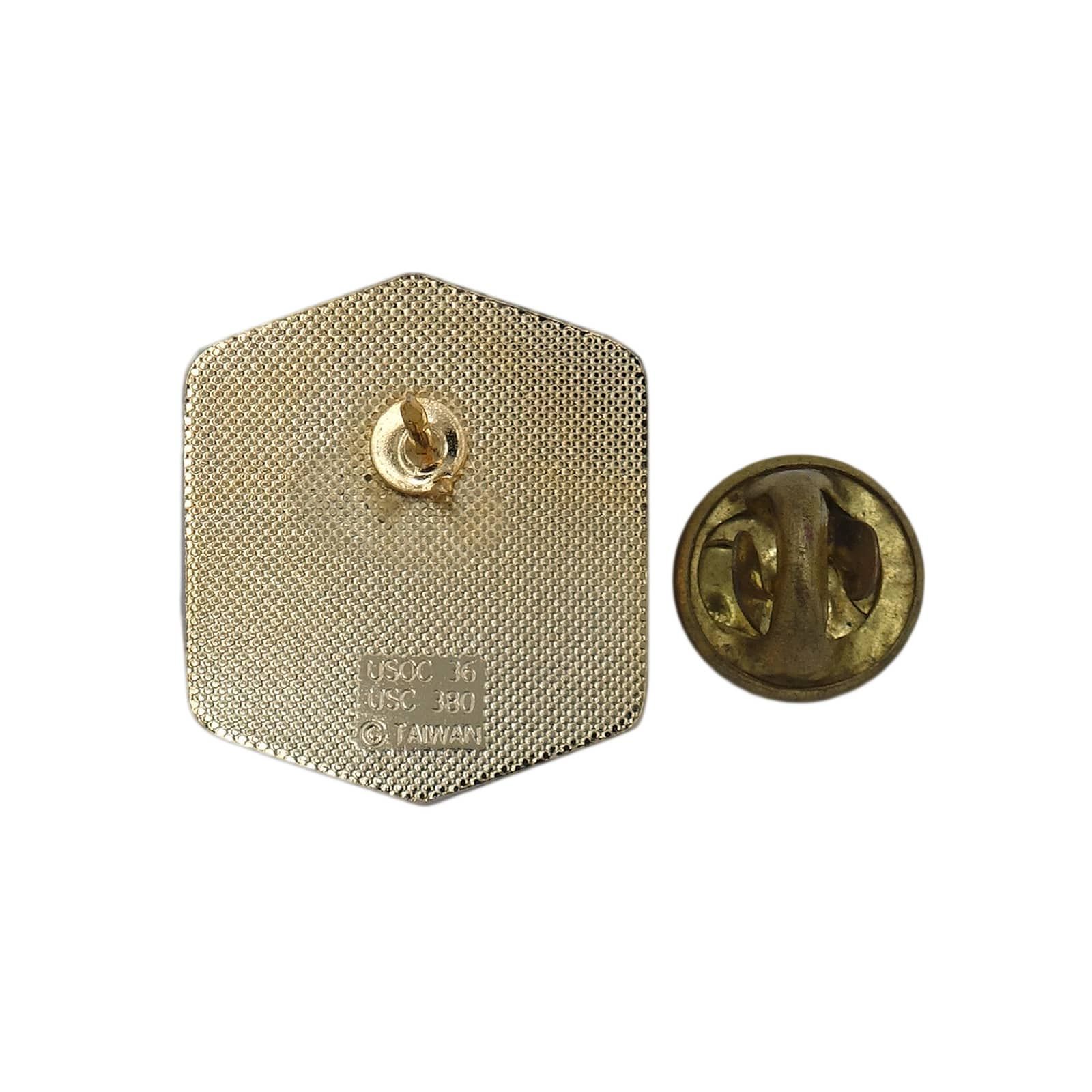 オリンピック　チームUSA ピンバッジ オリンピック USA アメリカ ビンテージピンバッジ ピンズ ピンバッヂ