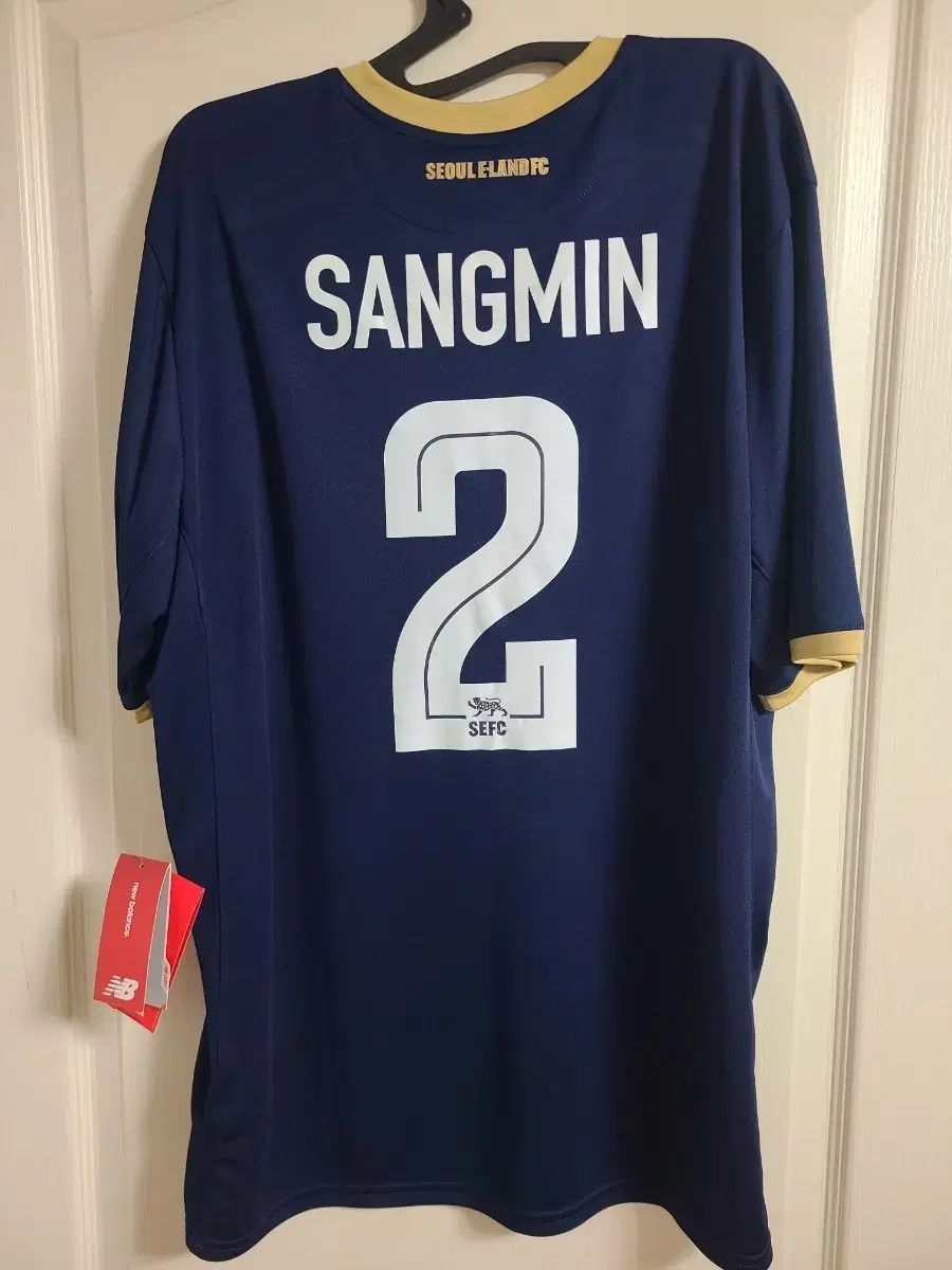 ソウル イーランド リーグ HOME 심상민 出品