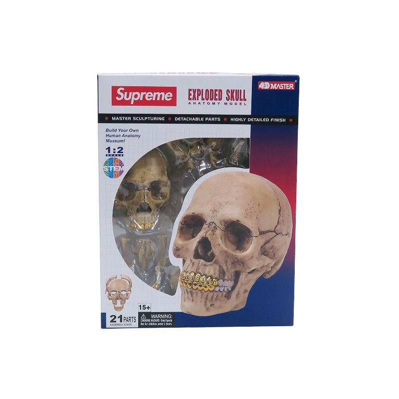 Supreme 4D Model Human Skull シュプリーム ガイコツ Supreme 4D Model Human Skull シュプリーム ガイコツ