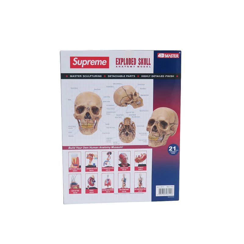 新品 SUPREME シュプリーム 23AW 4D MODEL HUMAN SKULL 4Dモデル
