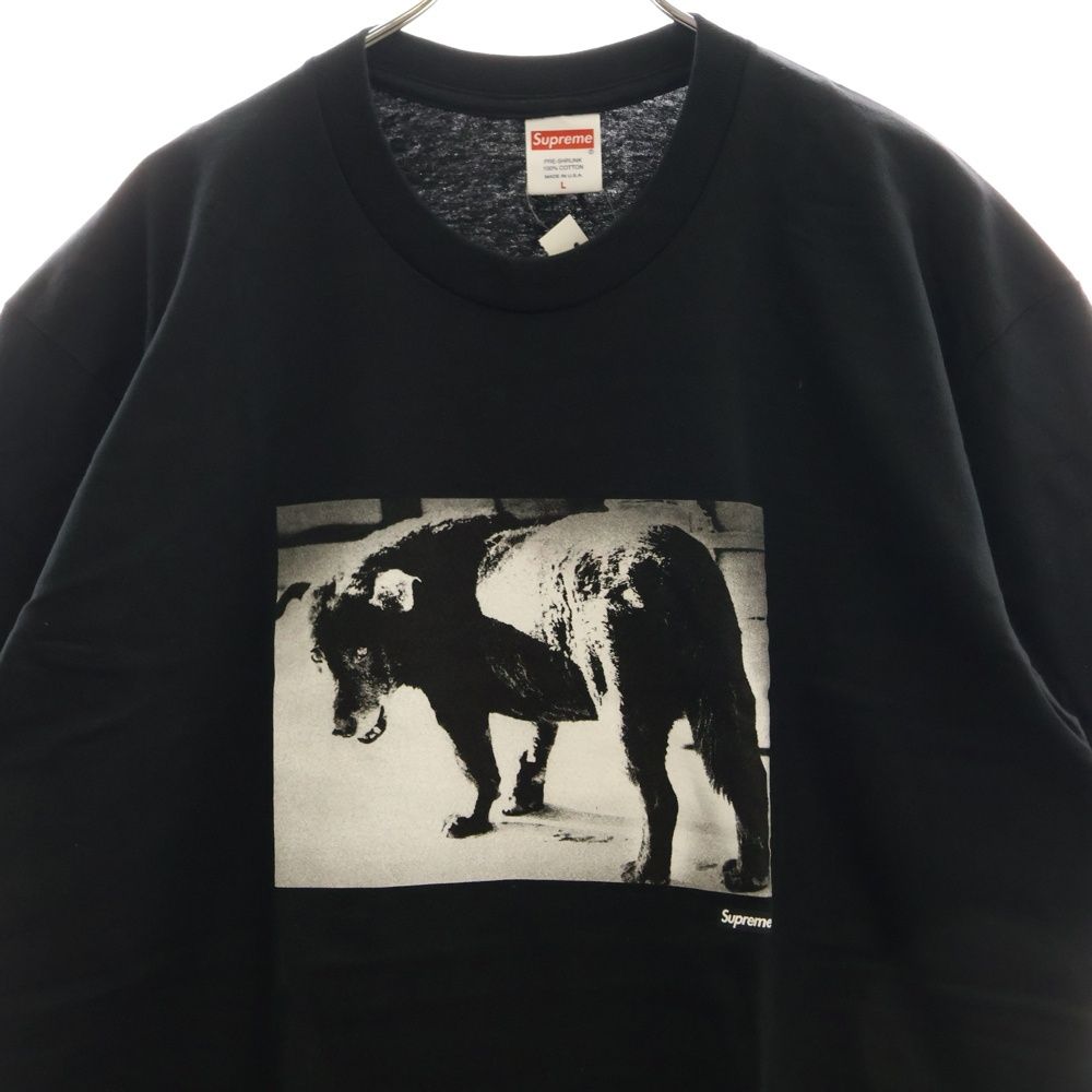 SUPREME (シュプリーム) 22SS Daido Moriyama Dog Tee 森山大道 ドッグ