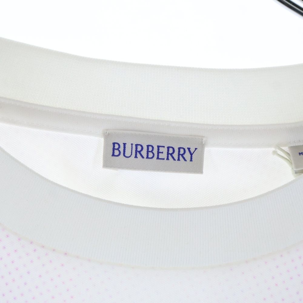 BURBERRY (バーバリー) 23AW ローズプリント 長袖Tシャツ ロンT