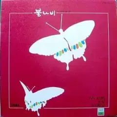 チェ ホンと ファイヤーバタフライ カサブランカ 花びら