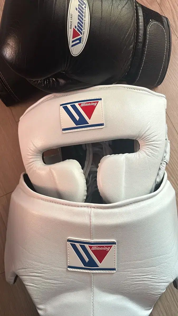 ウィニング グローブ ヘッドギア グロインガード フルセット