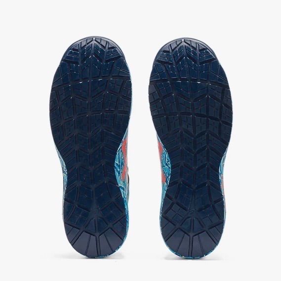 アクアリウム×サンコーラル