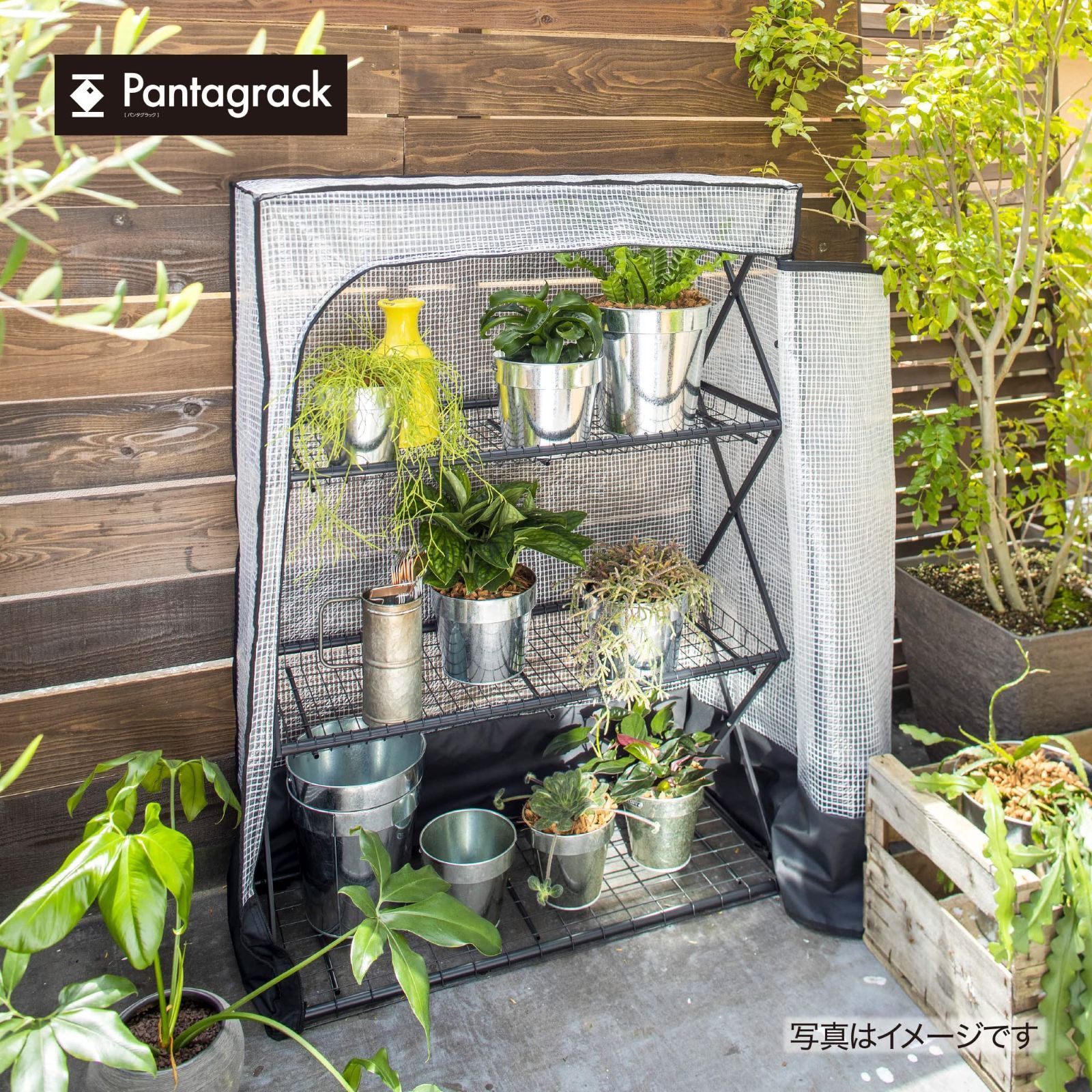 タカショー ビニールハウス パンタグラックハウス L ブラック 園芸 防寒カバー 植物 育苗 組立簡単 スチール ポリエチレン GFH-FS 06 S