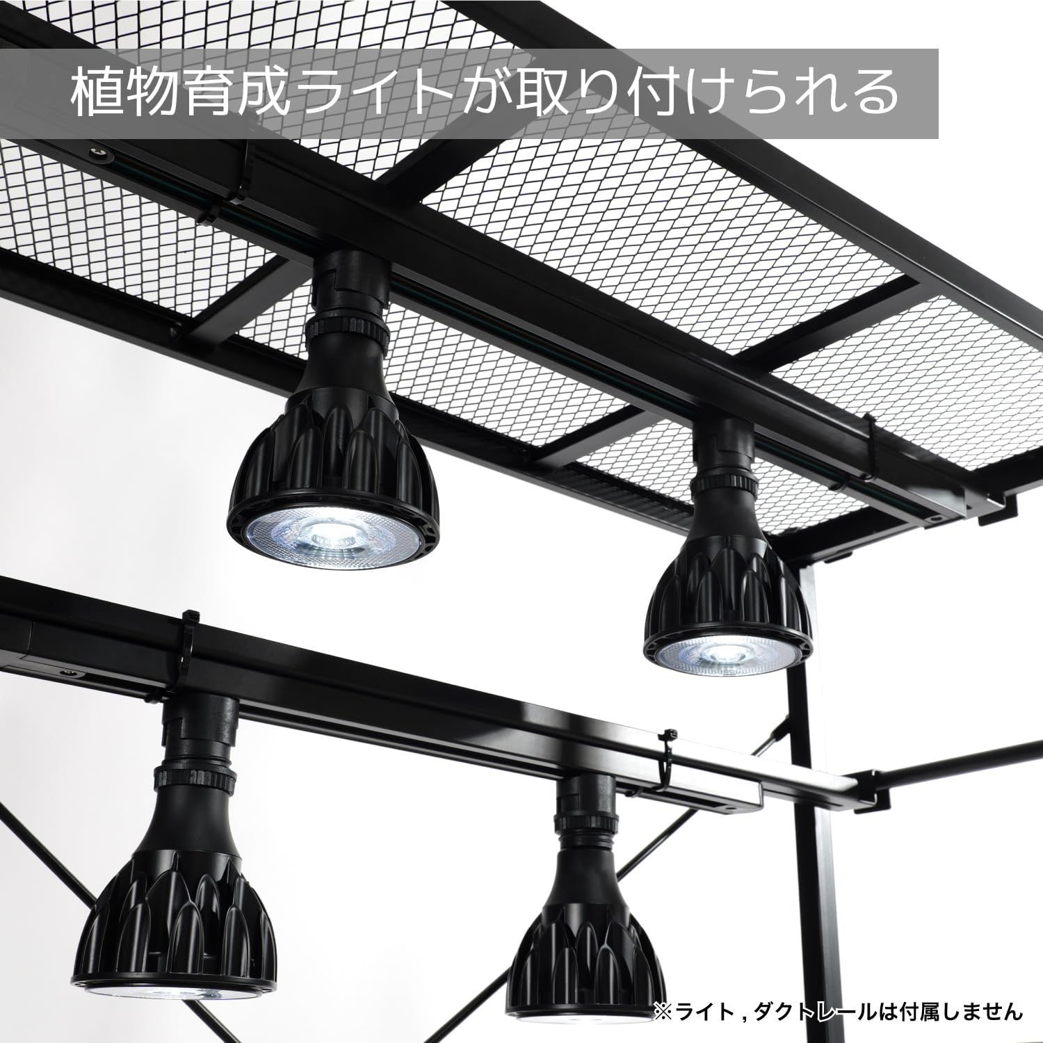 ビザールプランツラック (LPR-800-BK) 植物育成ライト・ファン取付可能 ビザールプランツラック LPR-800-BK 植物育成ライト 植物用
