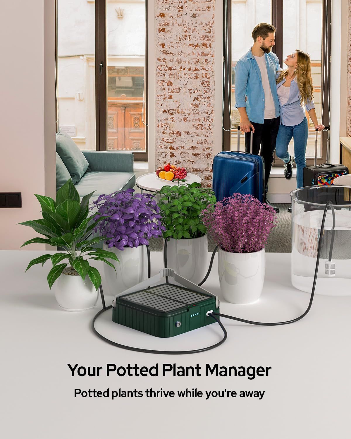 ソーラー 自動 灌水器 水やり器 観葉植物 2500 mAh 内蔵バッテリータイマー 自動散水システム 自動水やり機 自動水やり ベランダ 自動給水器 水やりタイマー 充電式 ポンプ 鉢植え プランター 家庭菜園 キット 農業 水撒き 畑 散水 屋外 植物 花