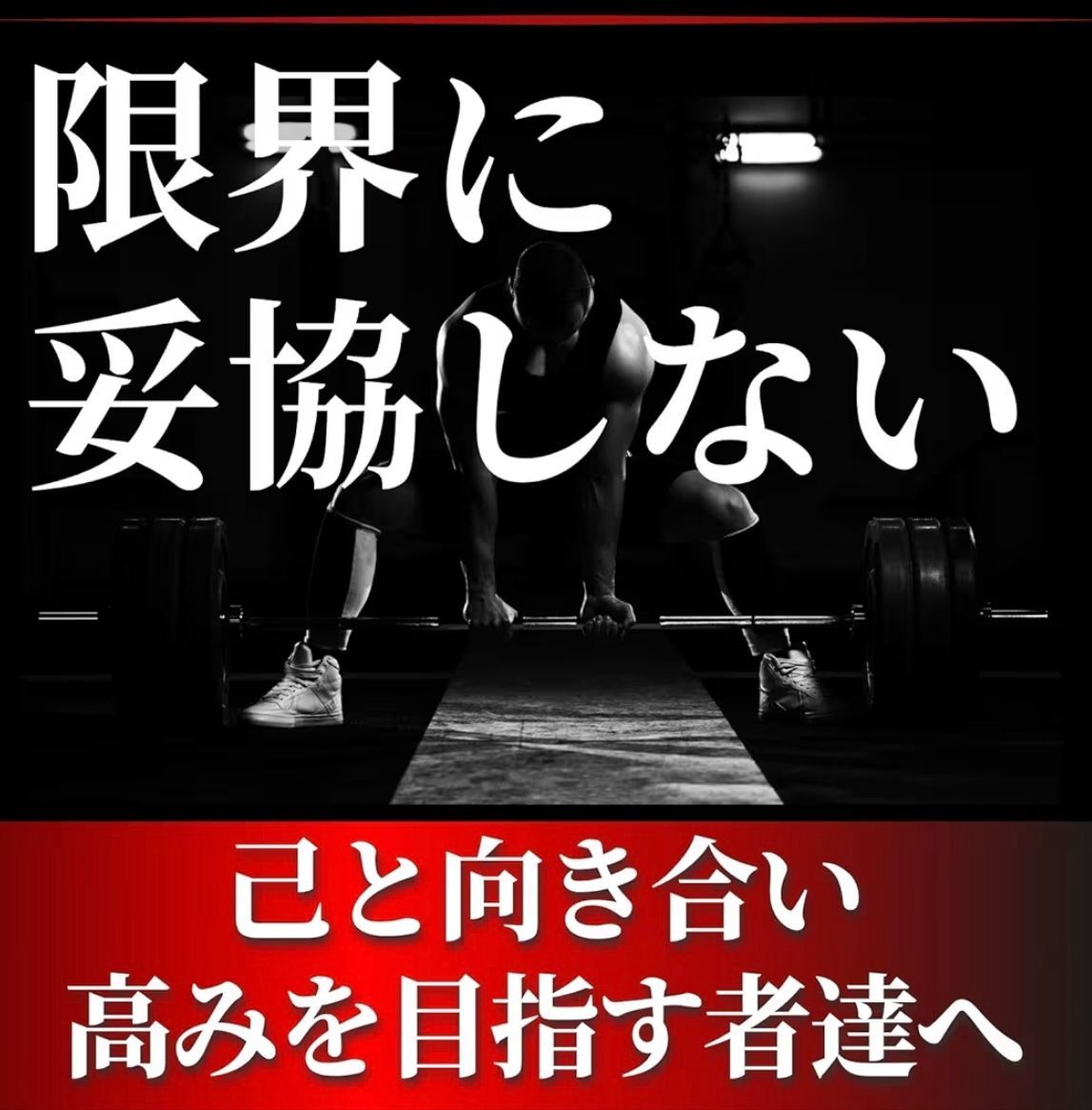 バンパープレート黒20 kg× 合計40 kg 50 mmシャフト用