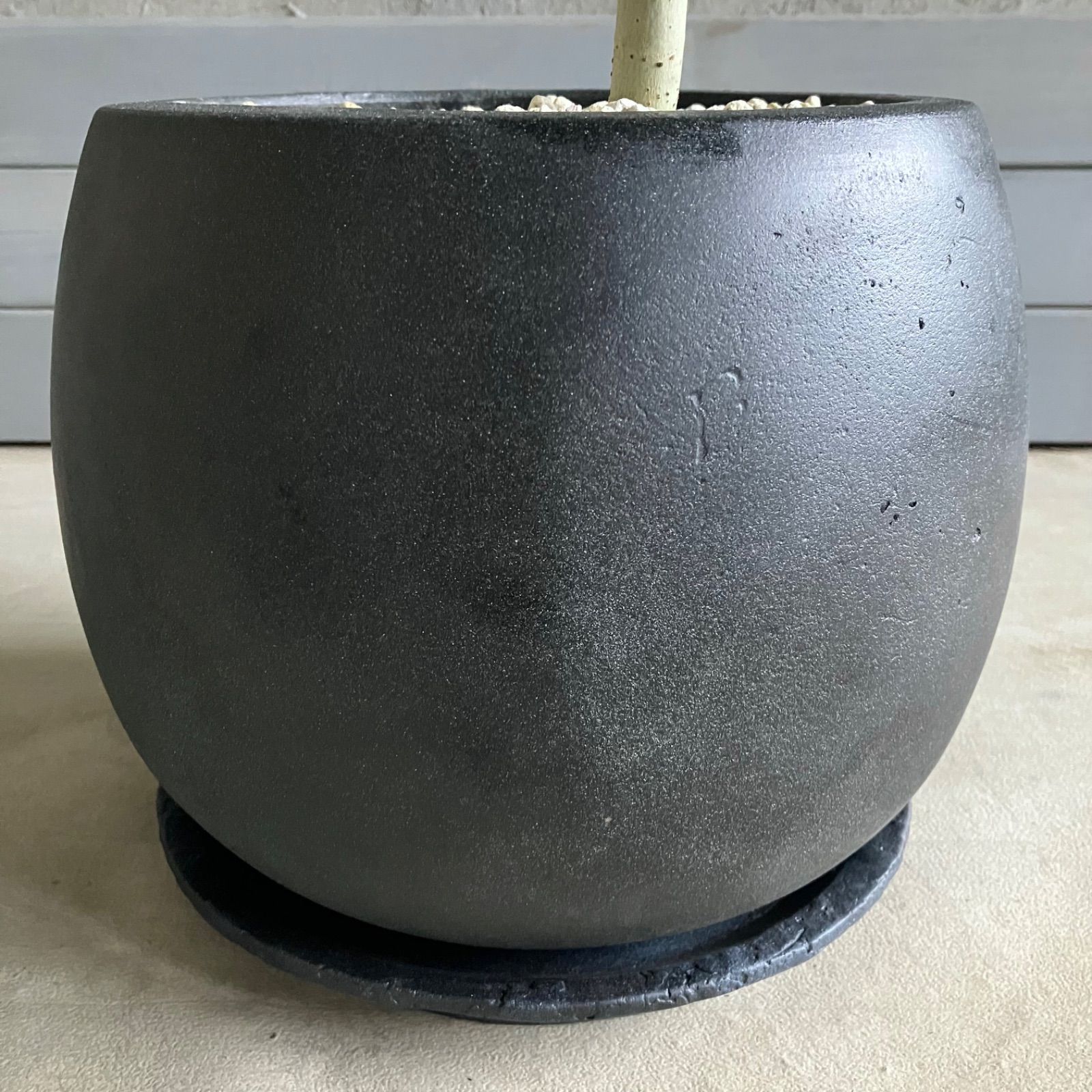 テラコッタ性鉢植え