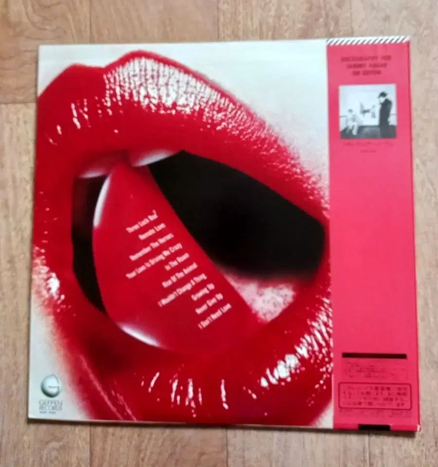 日本版 whitesnake