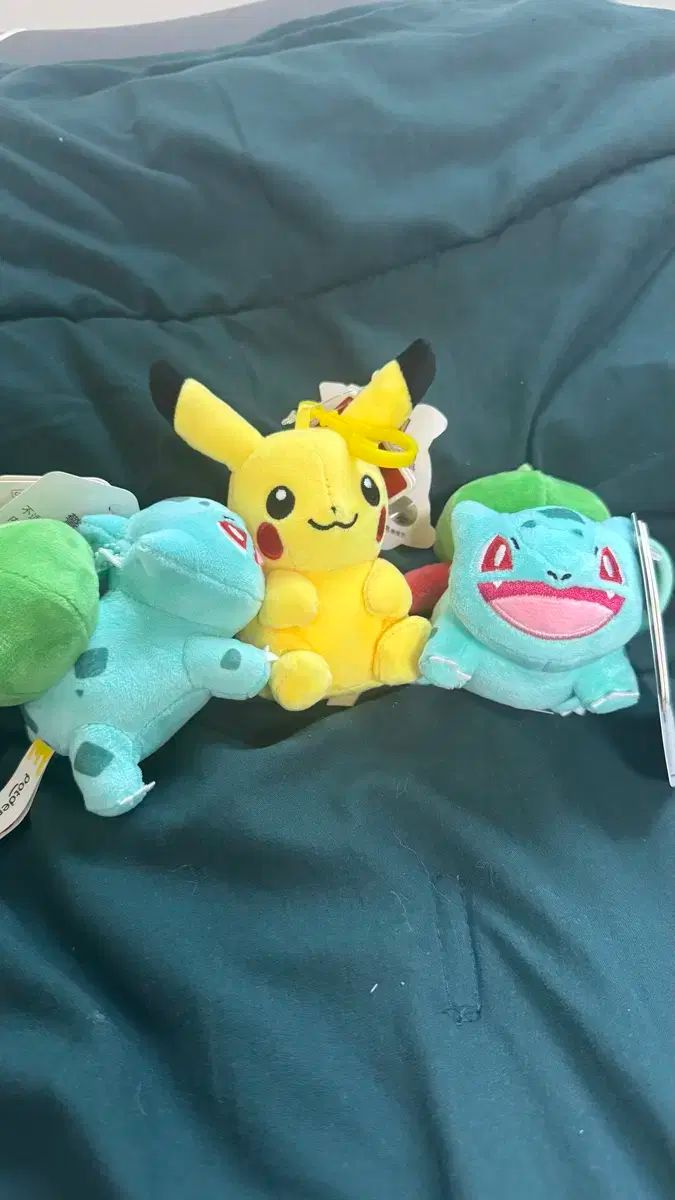 お買い得，大人気 ポケットモンスター キーホルダー ぬいぐるみ 出品 その他
