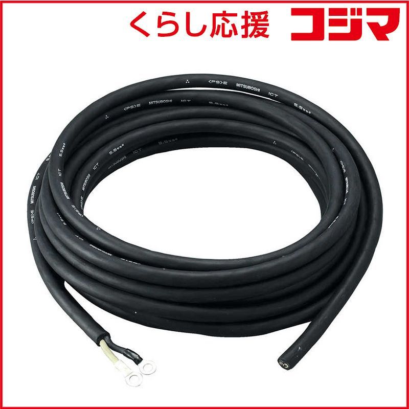 唾奇 - Camellia LP (2 vinyl set)日本武道館公演限定 唾奇 武道館公演