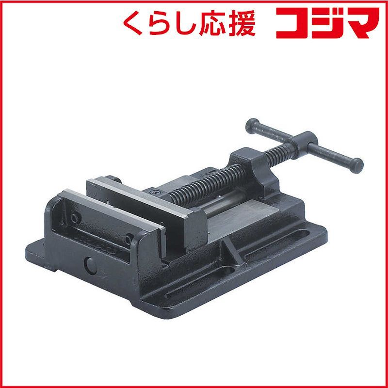 valiem bitter L 植木鉢 鉢 店主コレクション品】VALIEM BITTER Msize | 広島市内にある塊根植物