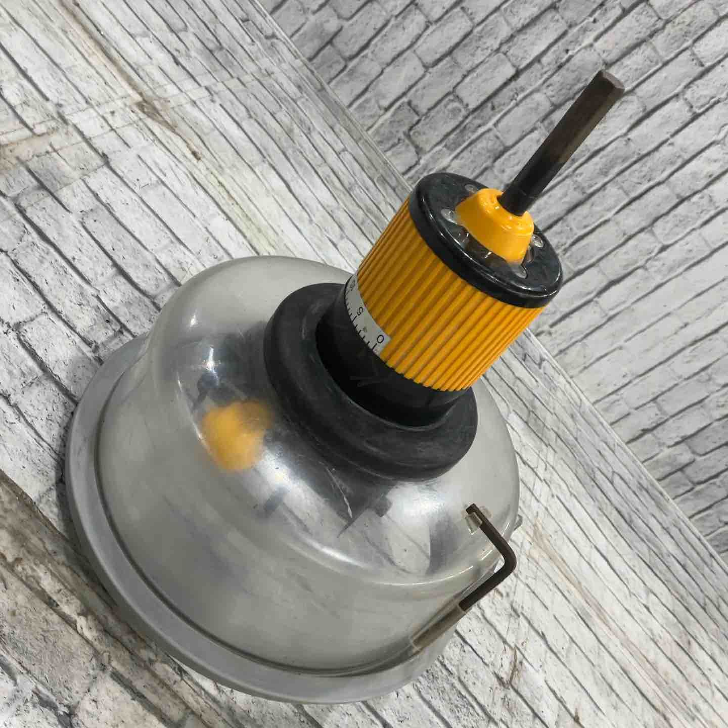 フリーホルソー