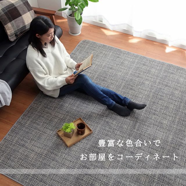 種類4：グレー/90×185cm ラグ カーペット マット 珊瑚マイヤ 洗える