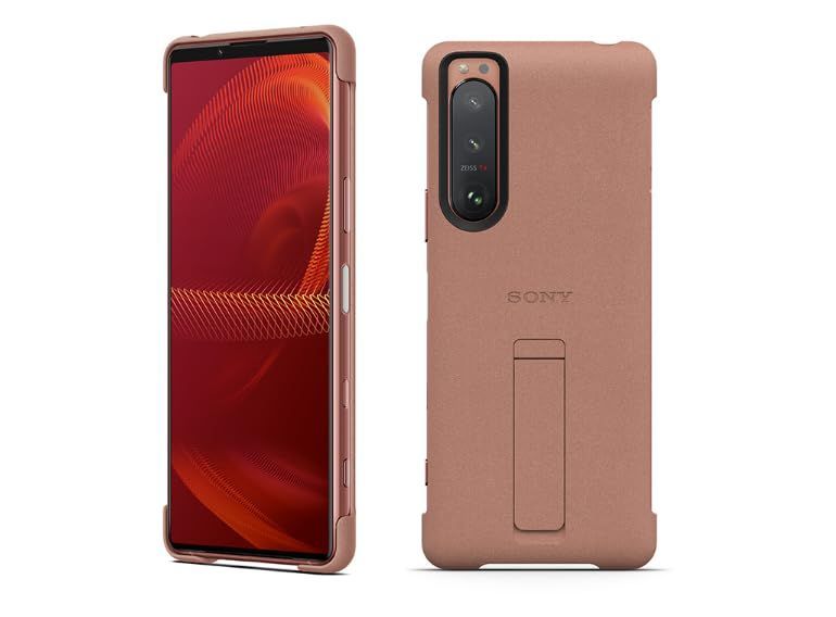 Gilles Sacksick、les peches、希少高級画集画、新品額装付