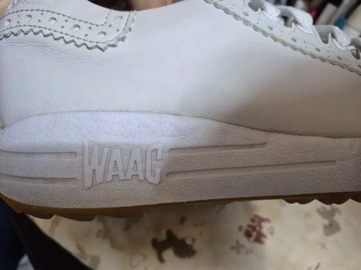 ウイングチップ