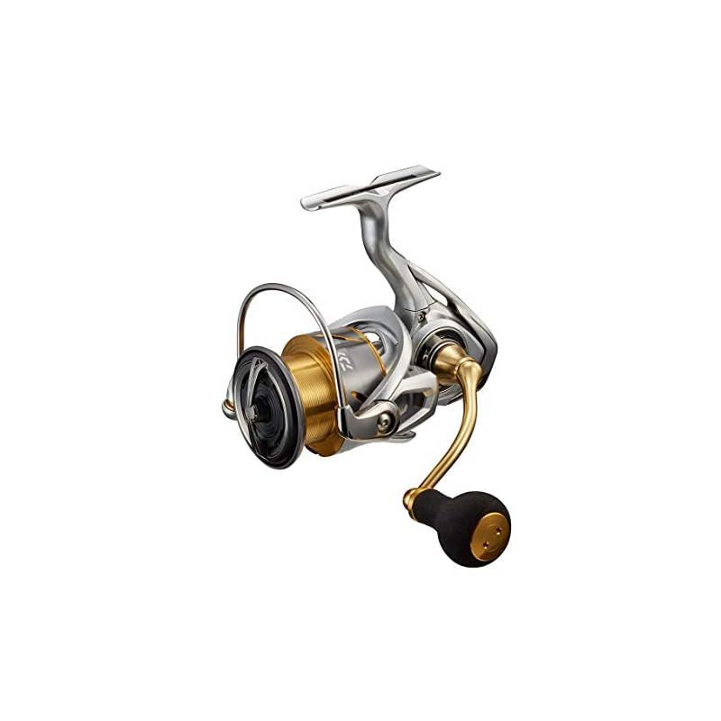 ダイワ DAIWA スピニング 21 フリームス LT4000-CXH