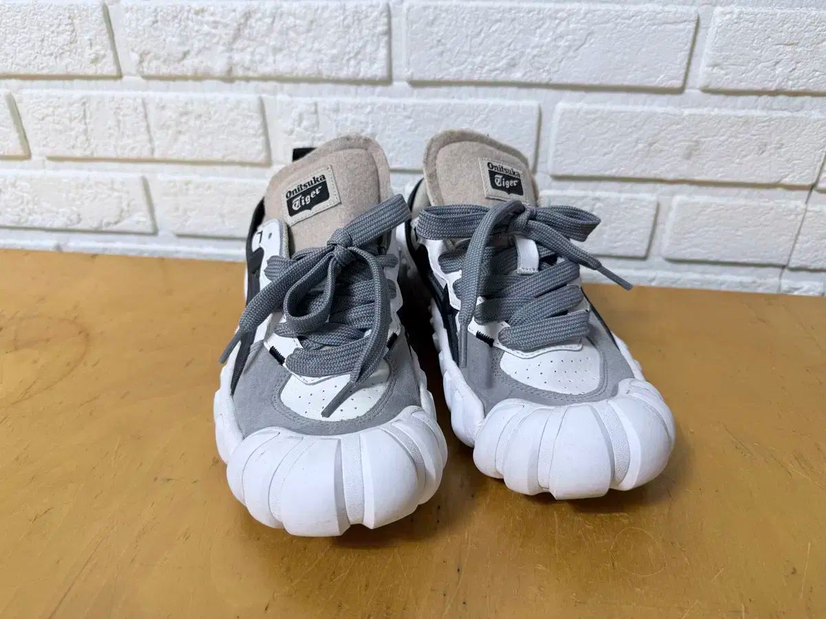 オニツカタイガー デンティグレス 240